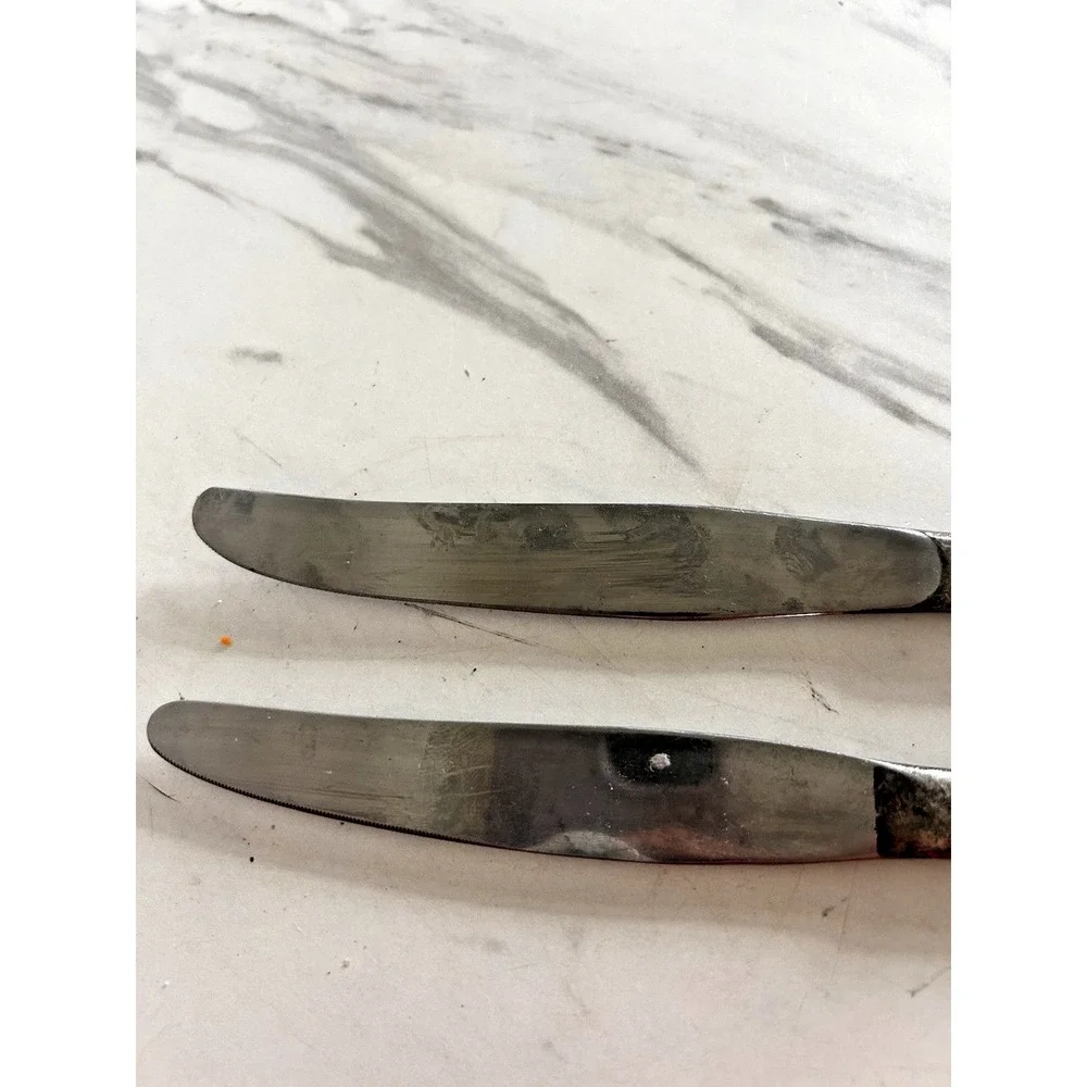 Vintage‎ Dinner Knives Knife Hotel Vendome Boston MA Stainless Blades Lot of 2